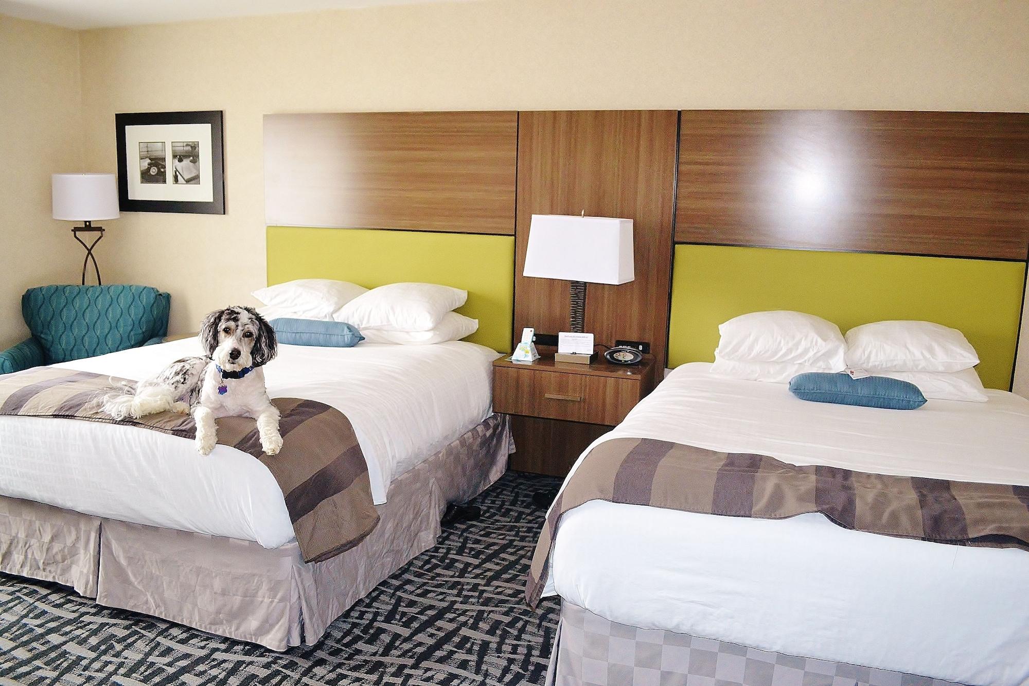 Best Western Dubois Hotel Екстер'єр фото